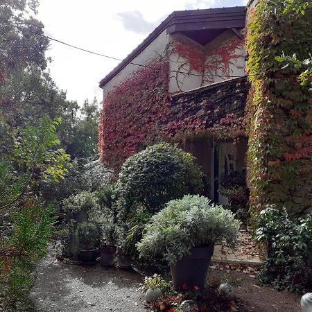 La Bergerie Hotel Lagarrigue  Exterior photo